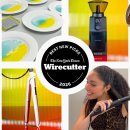 Korean Top Team DOWN GYM 이미지