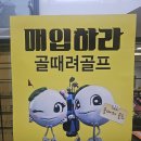 테일러메이드포항