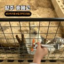 화합로L 이미지