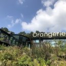 돌고개 휴 펜션 이미지