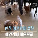 GR(산청군)-[비량로]-상-7 | 진주 근교 산청 애견카페 [마운틴독] 애견동반카페 Mountain Dog+주차정보