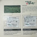 [ 아리아리떡사랑 밥알 수리취떡 ] 반반구성 솔직후기