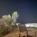 비고리조트 2 이미지