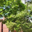 단국대학교사범대학부속중학교 이미지