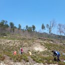 미리내농장 이미지