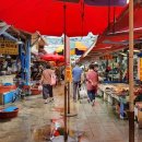 포항시북구64 이미지