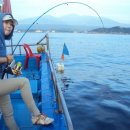 관광 꿈꾸는숲 펜션 이미지