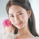 팀퍼스트모션