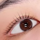 꼼꼼속눈썹 이미지