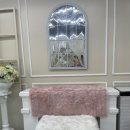 모든애견미용실 이미지