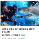 주식회사 유영 | 부산아쿠아리움 할인 꿀팁 여행특공대 티켓으로 알뜰하게 다녀오기기