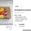 양지농산물 이미지