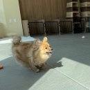 황자반놀이터 이미지