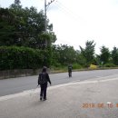 길안청송로(길안면) 이미지