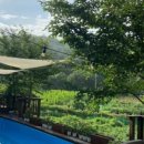 봉자펜션 이미지