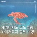 오렌지스쿠바 | [오키나와 가볼만한곳] 케라마제도 스노쿨링 & 체험다이빙 솔직후기! 거북이 만난 투어 꿀팁