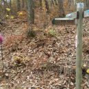 봉전농장 이미지