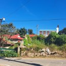 명신초교 이미지