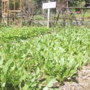 준영이네농장 이미지