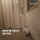 라인댄스(야간) 이미지