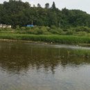 금빛펜션한반도