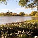 호숫가의 풍경 이미지