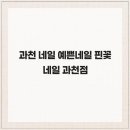 네일핀