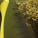 지혜로운생활연구소 이미지