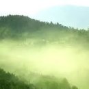송화신발