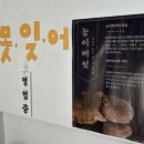 발한동 묵호역 사거리 ↔ 농산물시장 | 동해 묵호역 현지인 맛집 못잊어 삼계탕 / 발한동 삼계탕 맛집 내돈내산