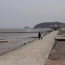 도리포민박 이미지