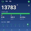 실로, 얼마만에 1만3천보 인가? 이미지