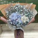 별내동 862-1 | 별내동꽃집 예쁜꽃예쁜나무 가격 위치 영업시간