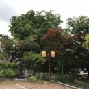 백년전통찻집 이미지