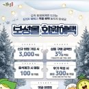 이병식 | 보성군, ‘보성몰’ 2025년 연 매출 22억 원 돌파