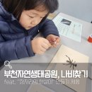 [초등+보호자] 꿈두레도서관 어린이교실 목공교실 | 부천자연생태공원엔 나비가 있을까?! feat.박물관 주말 만들기 체험