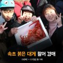 속초붉은대게 이미지