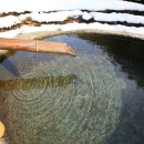 서일 농장 이미지