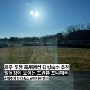 조천농장 | 제주 감성숙소 조천 초원뷰 포니제주 솔직후기