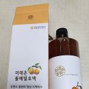 미래촌