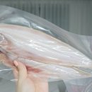 군산 참박대 수산 이미지