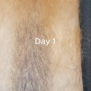 지누동물병원 이미지