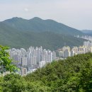 꽃마을로 이미지