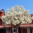 용산-235 이미지