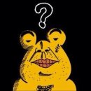 애견팡팡 이미지