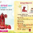 내기농장 이미지