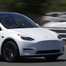 선지정food 이미지