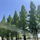 서삼농장 이미지