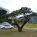 내촌교육문화센터 이미지