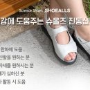 타이디 이미지